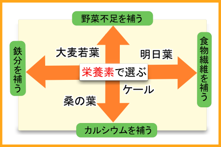 青汁の原材料・栄養素で選ぶ